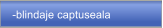 -blindaje captuseala