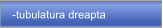 -tubulatura dreapta