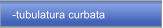 -tubulatura curbata